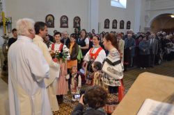 Svatomartinské hody