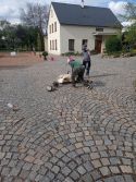 Hadi, štíři (slepýši) a jarní úklid